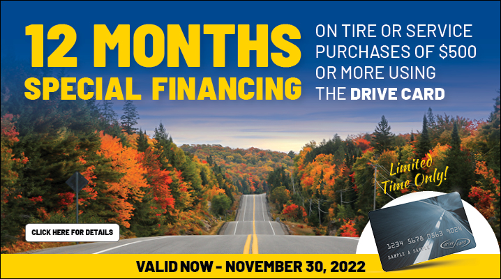 12 Months Special Financing