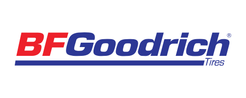 bfg_wsm_logo