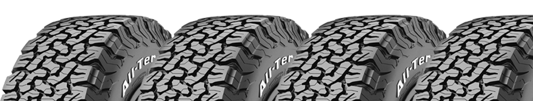 bfg_wsm_banner